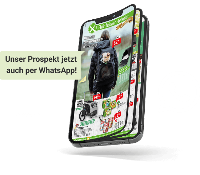 WhatsApp KeyVisual Teaser Startseite 650x570Px